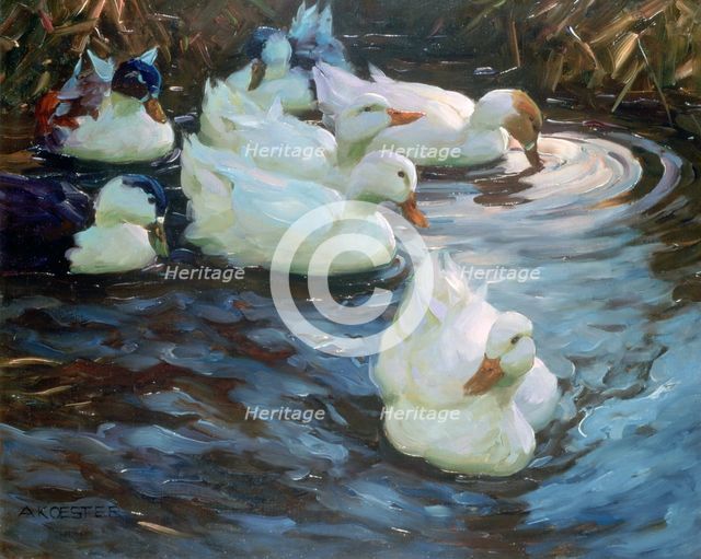 'Ducks on a Pond', c1884-1932. Artist: Alexander Koester