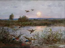 Ducks over Marshes, 1923. Creator: Alexandre Mroczkowski