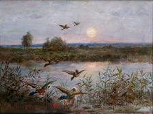 Ducks over Marshes, 1923. Creator: Alexandre Mroczkowski