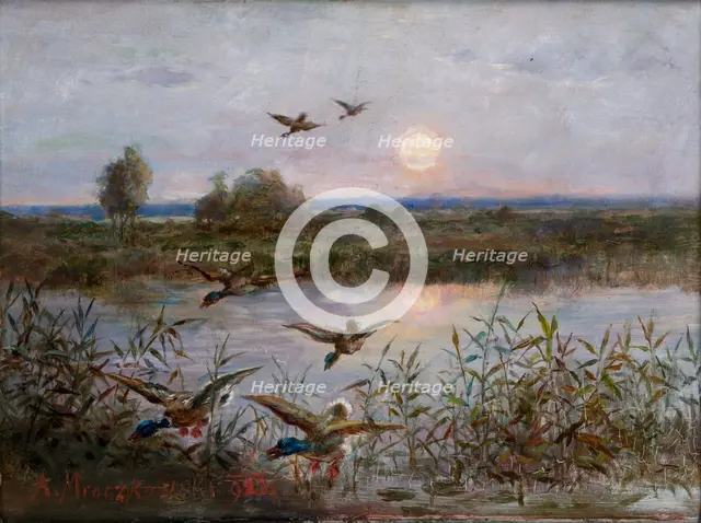 Ducks over Marshes, 1923. Creator: Alexandre Mroczkowski.