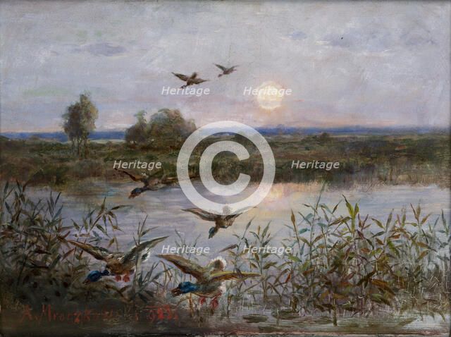 Ducks over Marshes, 1923. Creator: Alexandre Mroczkowski.