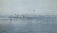 Ducks over Swamps, 1892. Creator: Stanislaw Maslowski
