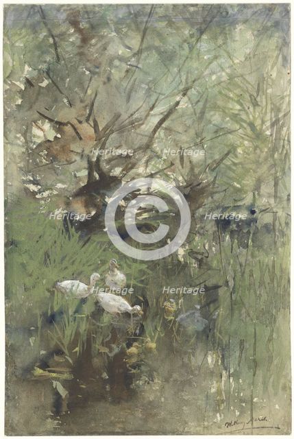 Ducks under willows, 1844-1910. Creator: Willem Maris.