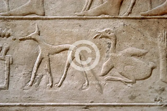 Duck and jackal, Hieroglyphic characters, Mastaba of Kagemni, Saqqara, Egypt, 2350 BC (2003). Creator: Unknown.