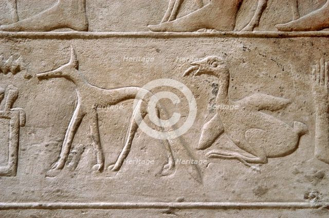 Duck and jackal, Hieroglyphic characters, Mastaba of Kagemni, Saqqara, Egypt, 2350 BC (2003). Creator: Unknown.