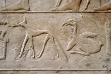 Duck and jackal, Hieroglyphic characters, Mastaba of Kagemni, Saqqara, Egypt, 2350 BC (2003). Creator: Unknown