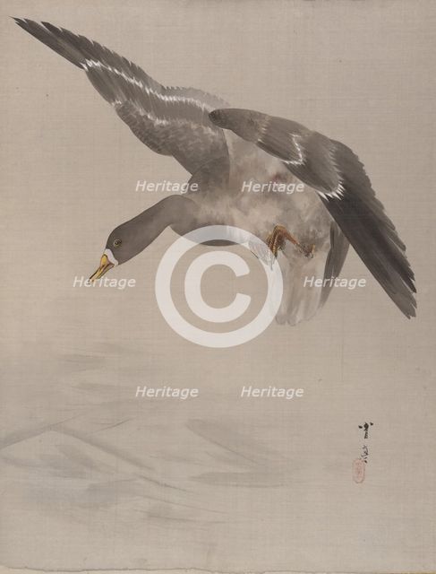 Duck, ca. 1887. Creator: Watanabe Seitei.