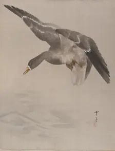 Duck, ca. 1887. Creator: Watanabe Seitei