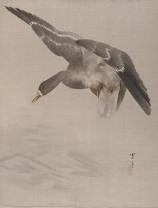 Duck, ca. 1887. Creator: Watanabe Seitei