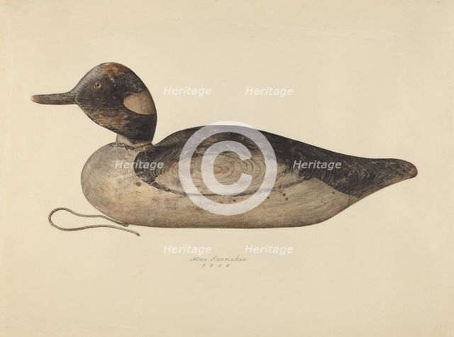 Duck Decoy, 1937. Creator: Max Fernekes.
