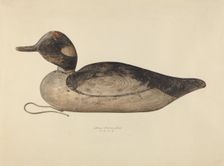 Duck Decoy, 1937. Creator: Max Fernekes