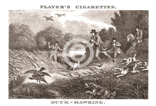 'Duck-Hawking', (1924). Creator: Unknown.