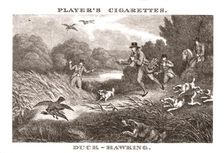 Duck-Hawking (1924). Creator: Unknown