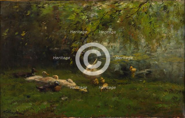 Duck heaven. Artist: Maris, Willem (1844-1910)