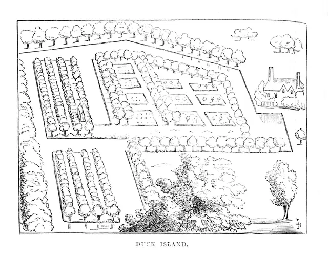 'Duck Island', c1870. Artist: Unknown.