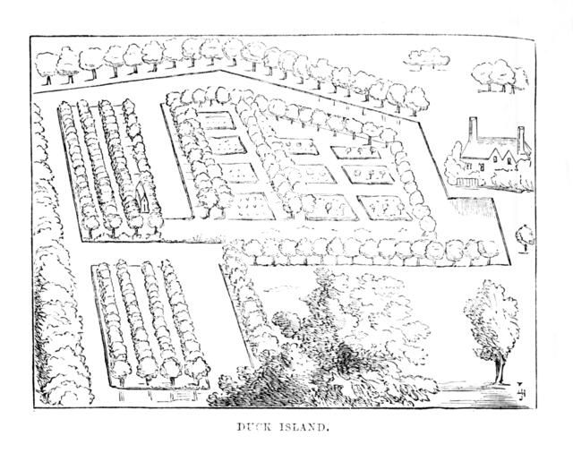 'Duck Island', c1870. Artist: Unknown.