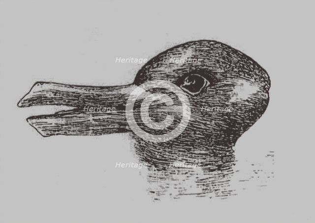 Duck-Rabbit illusion. From: Jastrow, J. The mind's eye. Popular Science Monthly, 1899. Artist: Jastrow, Joseph (1863-1944)