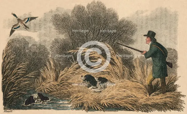 'Duck Shooting', 1810. Creator: Samuel Howitt.