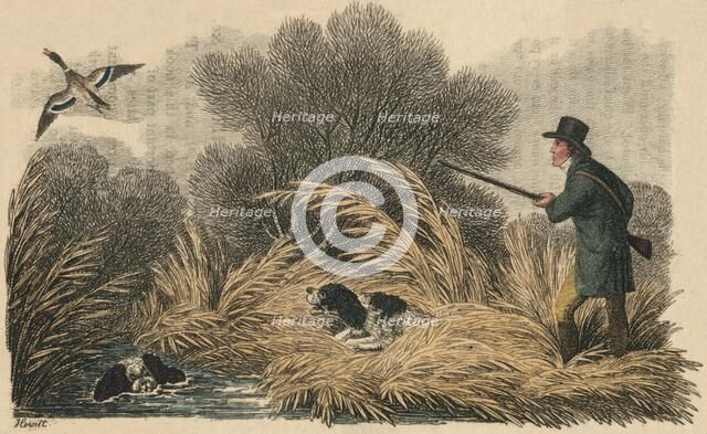 'Duck Shooting', 1810. Creator: Samuel Howitt.