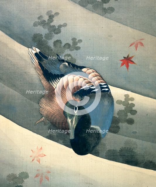 'Duck Swimming in Water', 1847. Artist: Hokusai