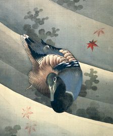 Duck Swimming in Water 1847. Artist: Hokusai