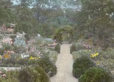 Dudley Leavitt Pickman, Jr., house, 213 Hale Street, Beverly, Massachusetts, 1926. Creator: Frances Benjamin Johnston