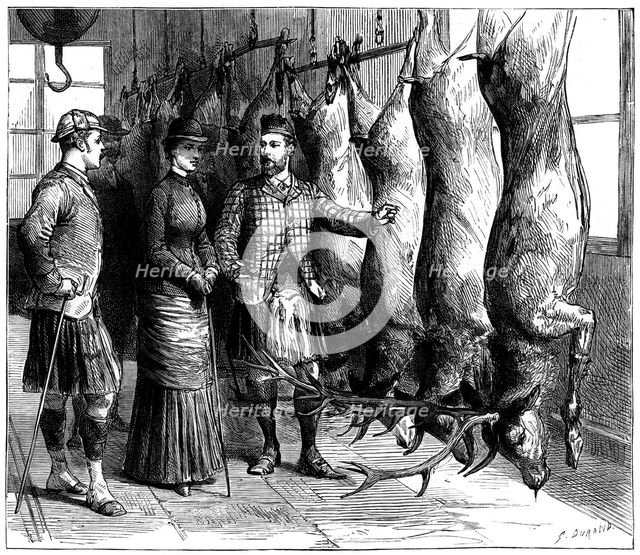 Duke of Fife's game larder, 1881. Artist: G Durand