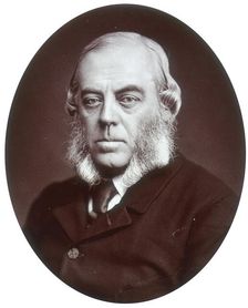 Duke of Malborough, Lord Lieutenant of Ireland, 1881. Creator: Lock & Whitfield