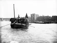 Dumpy barge on the Thames loaded with hay or esparto, London, c1905