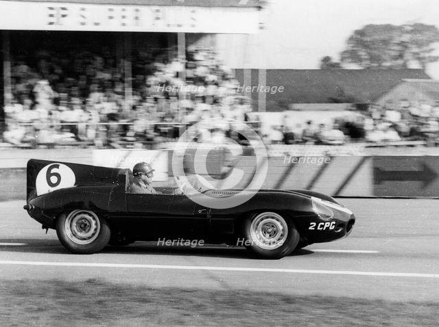 Duncan Hamilton driving a Jaguar D type, RAC Tourist Trophy, Goodwood, Sussex, 1958. Creator: Unknown.