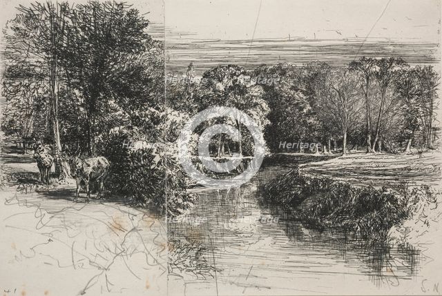 Dundrum River and the Two Asses, 1863. Creator: Francis Seymour Haden (British, 1818-1910).