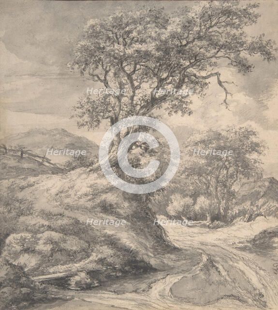 Dune Landscape with Oak Tree, 1650-55. Creator: Jacob van Ruisdael.