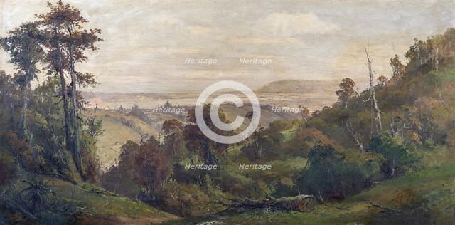 Dunedin from Pine Hill, c1900s. Creator: George William Carrington.
