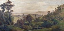 Dunedin from Pine Hill, c1900s. Creator: George William Carrington
