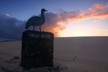 Dunes Natural Park, Fuerteventura, Canary Islands. Creator: Peter Thompson