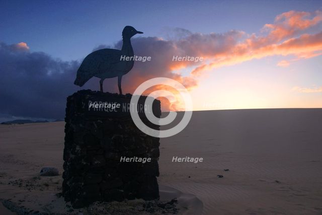 Dunes Natural Park, Fuerteventura, Canary Islands. Creator: Peter Thompson.