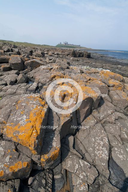 Dunstanburgh, 2006. Creator: Ethel Davies.