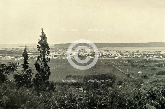 'Durban, Natal', 1901. Creator: Wilson.