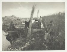 During the Reed Harvest, 1886. Creator: Peter Henry Emerson