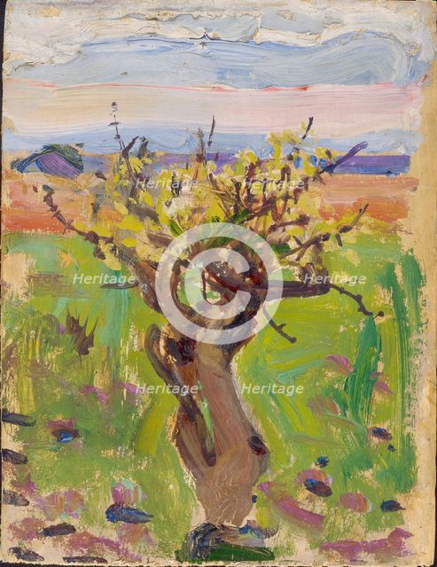 Dwarf Tree in the Desert, 1909-1910. Creator: Akseli Gallen-Kallela.