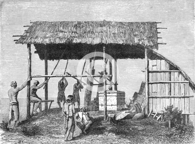 'Dyaks Building a House; A Visit to Borneo', 1875. Creator: A.M. Cameron.