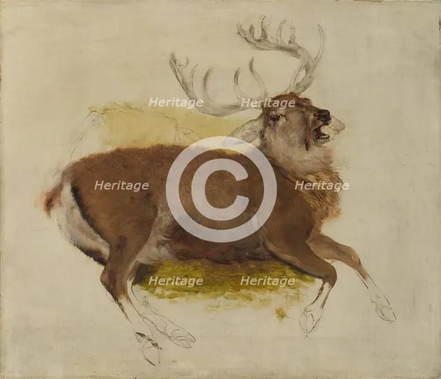 Dying Stag, ca. 1830. Creator: Edwin Henry Landseer.