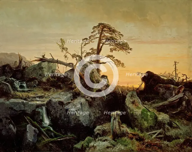 Dying Primeval Forest, 1852. Creator: Herman August Cappelen.