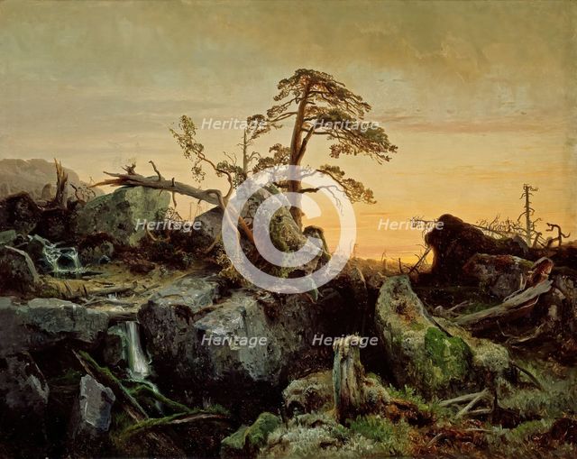 Dying Primeval Forest, 1852. Creator: Herman August Cappelen.