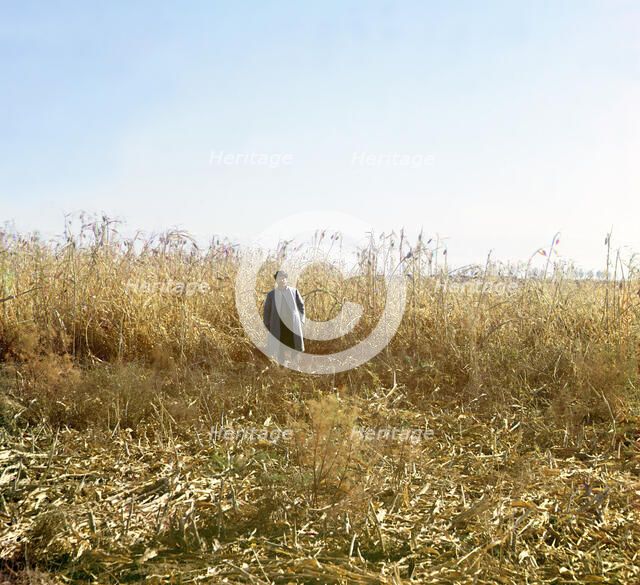 Dzhugara, Golodnaia Steppe, between 1905 and 1915. Creator: Sergey Mikhaylovich Prokudin-Gorsky.