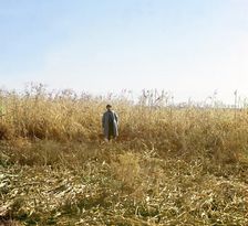 Dzhugara, Golodnaia Steppe, between 1905 and 1915. Creator: Sergey Mikhaylovich Prokudin-Gorsky