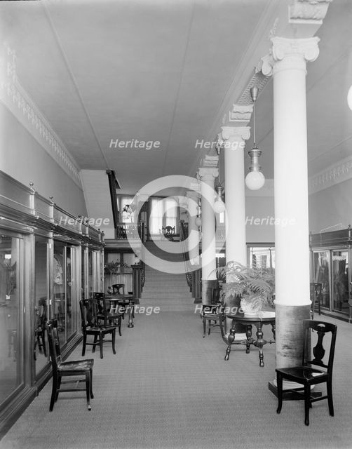 E.M. Bigsby Co. show rooms, ground floor, main reception room, between 1900 and 1915. Creator: Unknown.