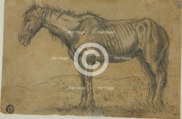 Emaciated Horse (recto); Frontal View of a Horse (verso), n.d. Creator: Charles Emile Jacque.