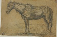 Emaciated Horse (recto); Frontal View of a Horse (verso), n.d. Creator: Charles Emile Jacque