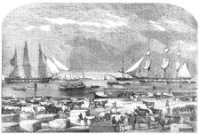 Embarkation of Cattle, at Trieste for the Auxiliary Army in the East, 1854. Creator: Unknown